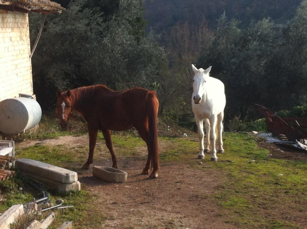 Agriturismo Villa Gabbiano Capodacqua  Εξωτερικό φωτογραφία